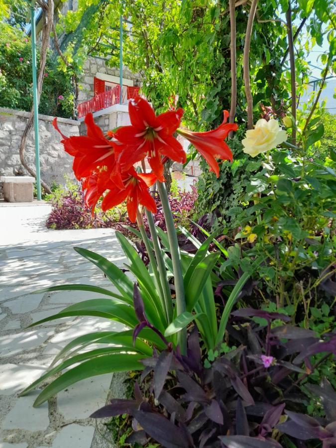Stone House In Buljarica Villa Petrovac Bagian luar foto